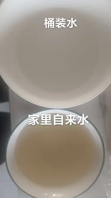 此前家中自来水与购买的桶装水进行对比。网友供图