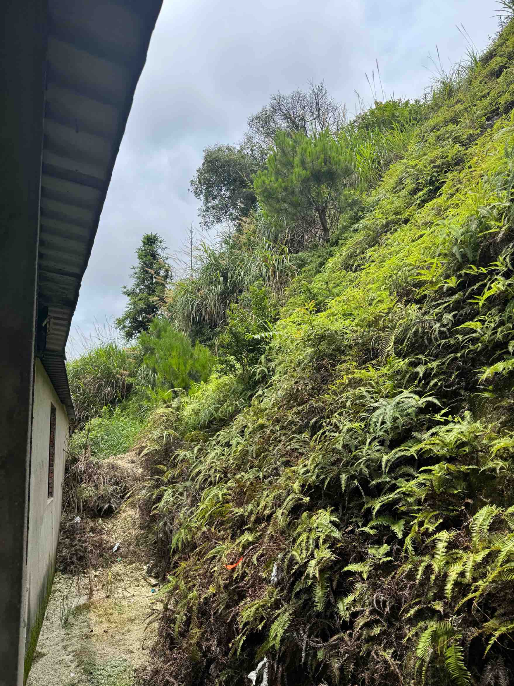 村民谢泽民所居住的房屋。受访者供图